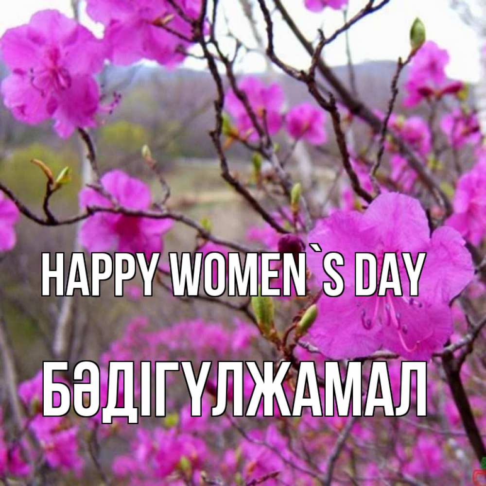 Greetings card с именем, БӘДІГҮЛЖАМАЛ happy women`s day международный женский день Greetings with text for free download 
